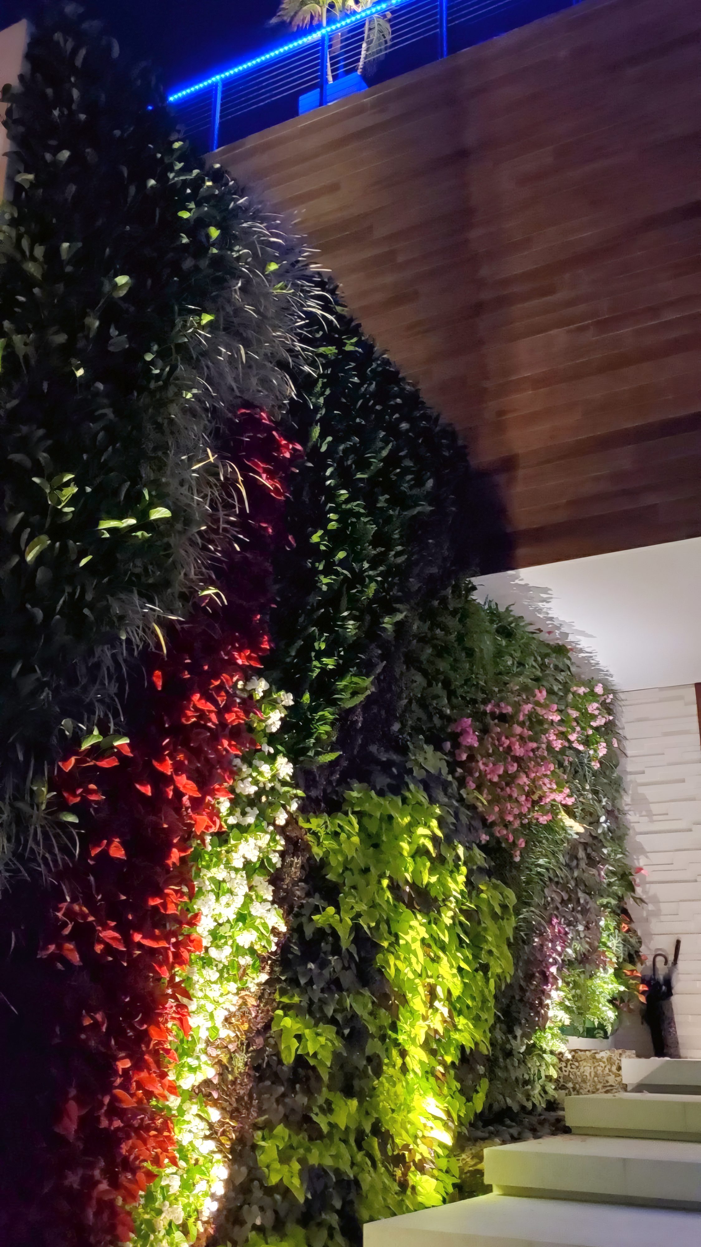 Multi-color living wall at night with red, white, and pink plantings uplit against a wood-paneled facade