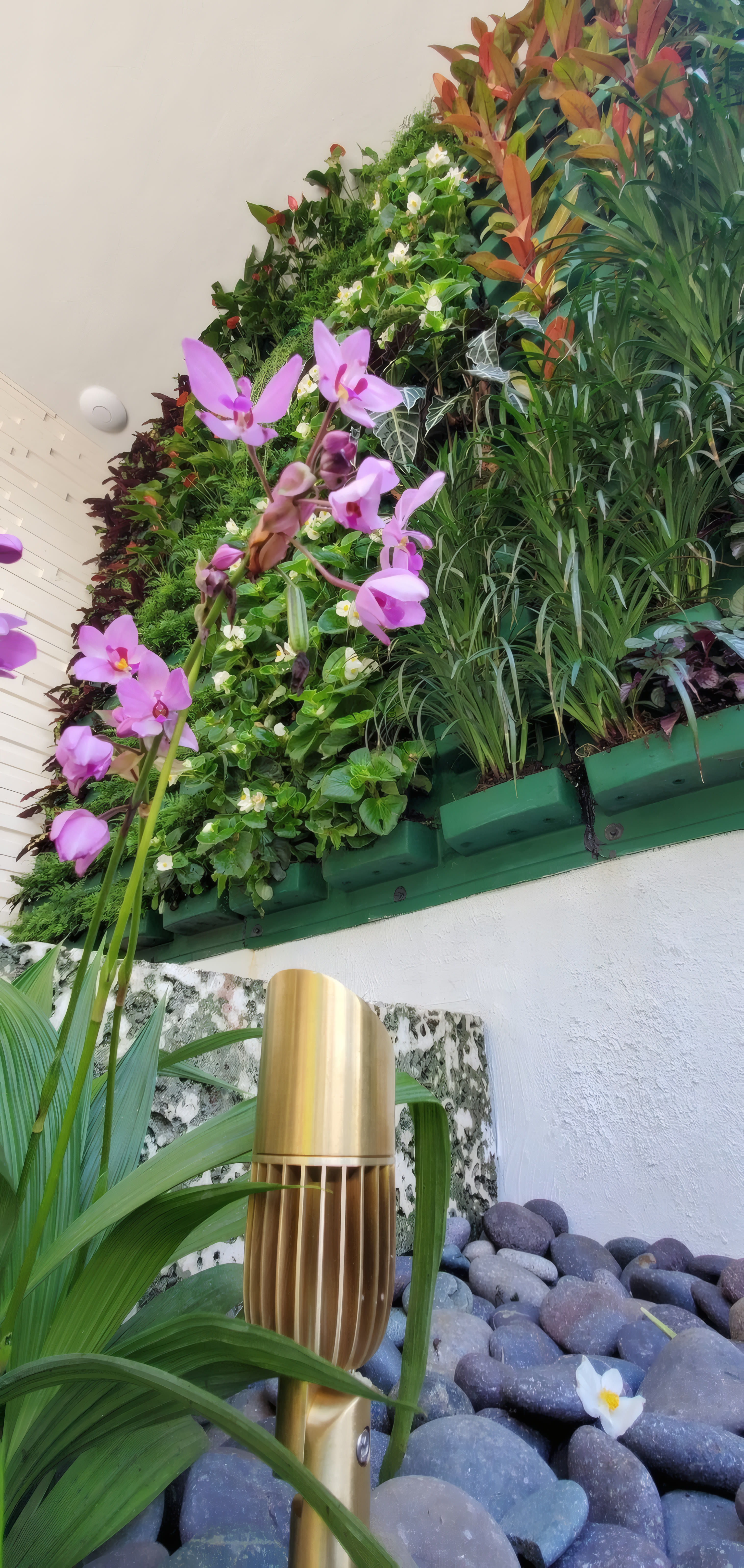 Orchid and bromeliad garden bed with a brass fountain spout over river stones