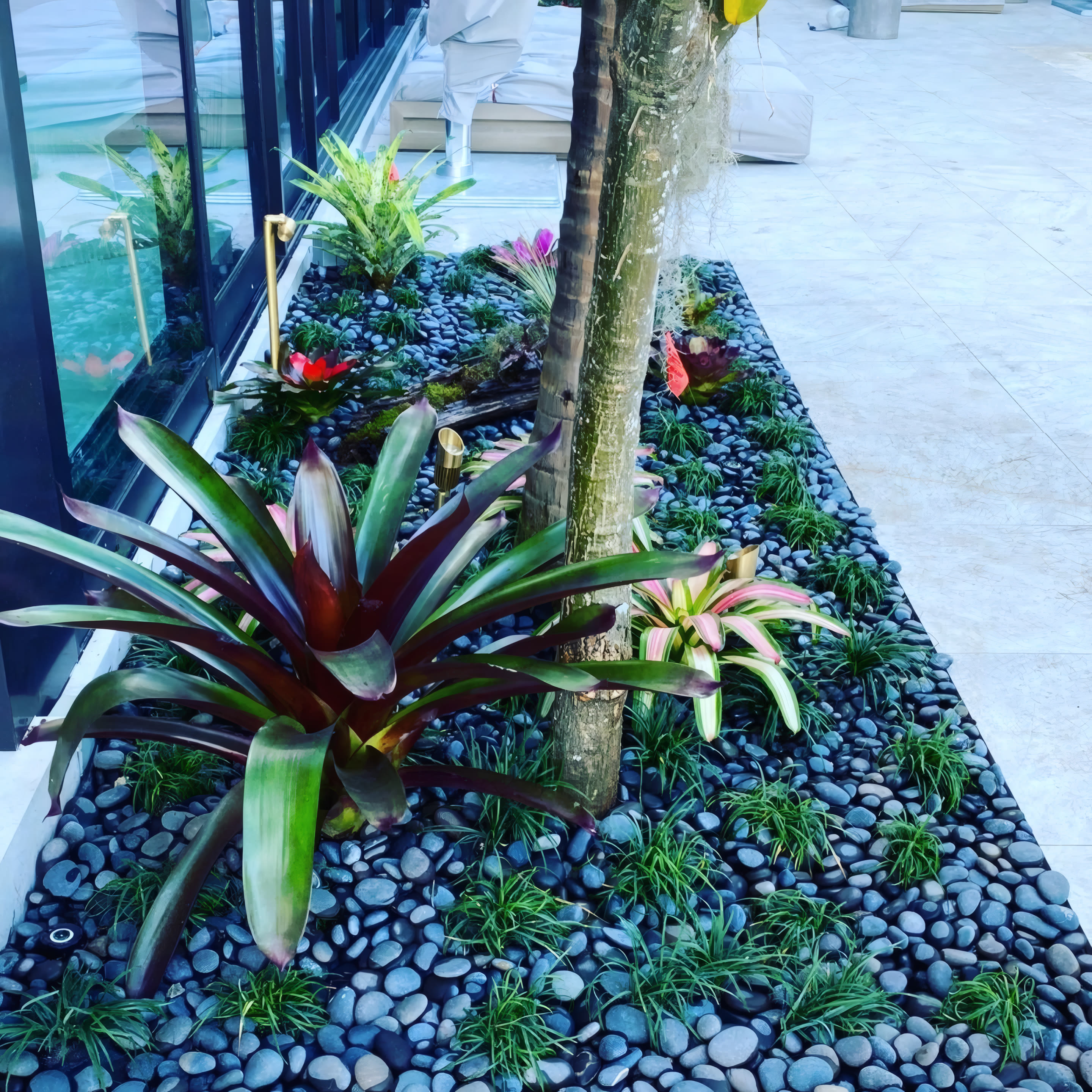 Red bromeliads with white river stones at a palm base
